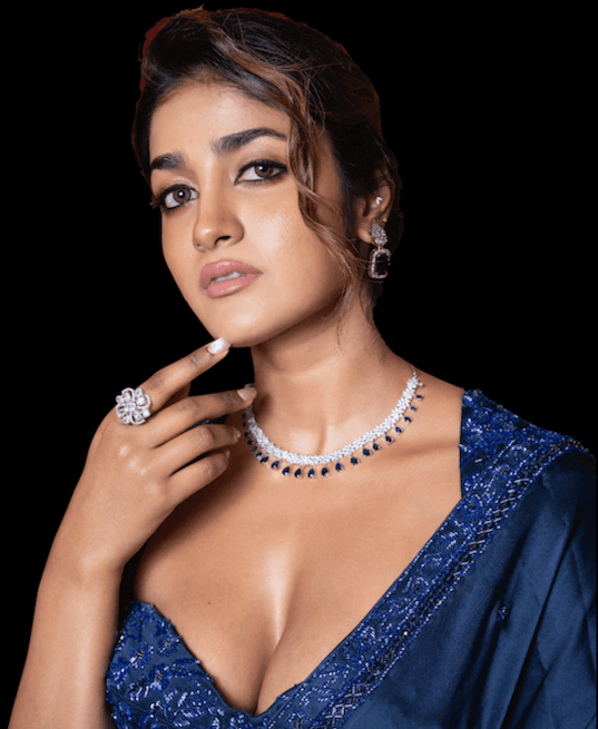 dimple final (1) (1)